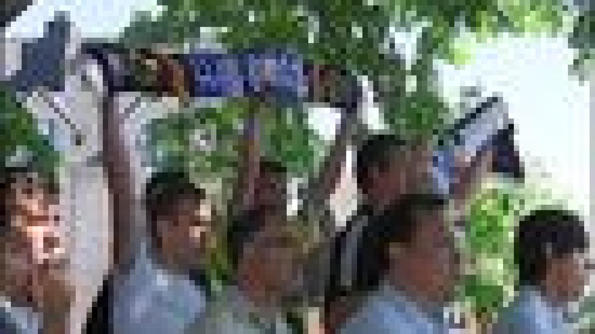 Funérailles de Sterchele : foule imposante et émue